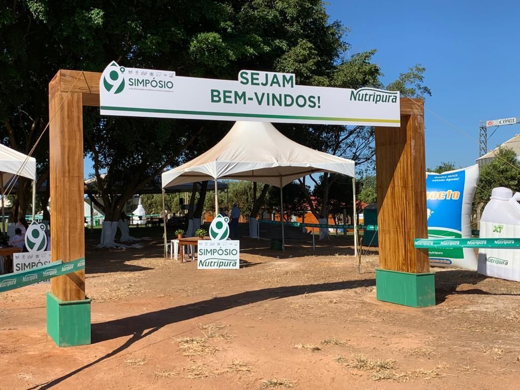 4-Dia de Campo