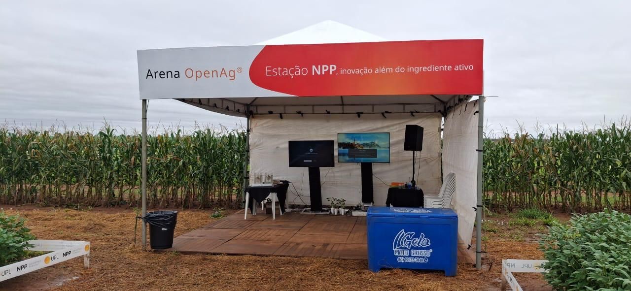 4-Dia de Campo